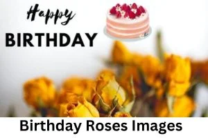 happy birthday roses images showing beautiful yellow roses